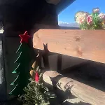 Apartment Il Nido Di Rifugio Panoramico Vicino Agli Impianti