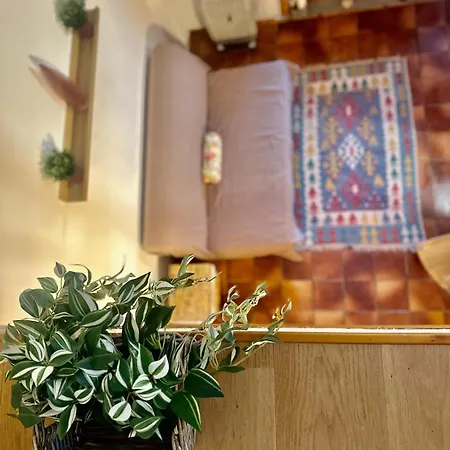 Il Nido Di Rifugio Panoramico Vicino Agli Impianti 아파트 *